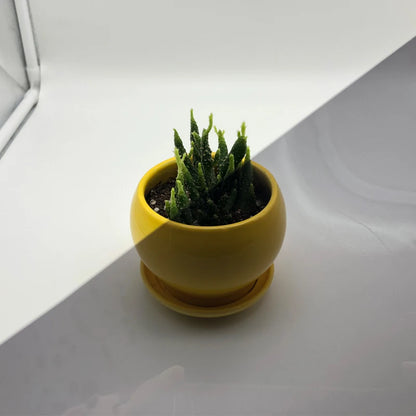 He2e87c62ec2b47dcba68e241b5a007ffu